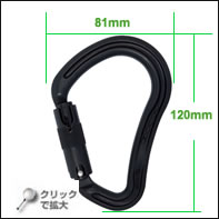 ブラックボア