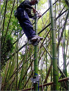 木登りの道具