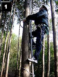 片手は木を抱きながらもう片方で安全帯ロープを持ち上げながら登ります